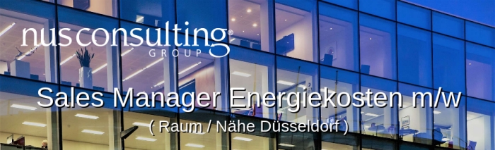 NUS consulting